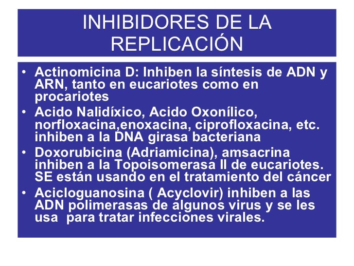 Transcripcion del gen biotech.2011