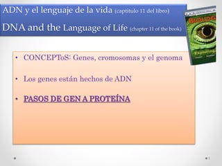 ADN y el lenguaje de la vida (captítulo 11 del libro)
DNA and the Language of Life (chapter 11 of the book)
• CONCEPToS: Genes, cromosomas y el genoma
• Los genes están hechos de ADN
• PASOS DE GEN A PROTEÍNA
1
 