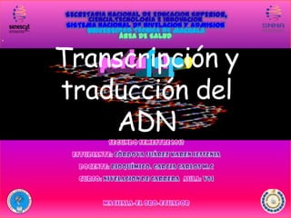 S

Transcripción y
traducción del
ADN

 