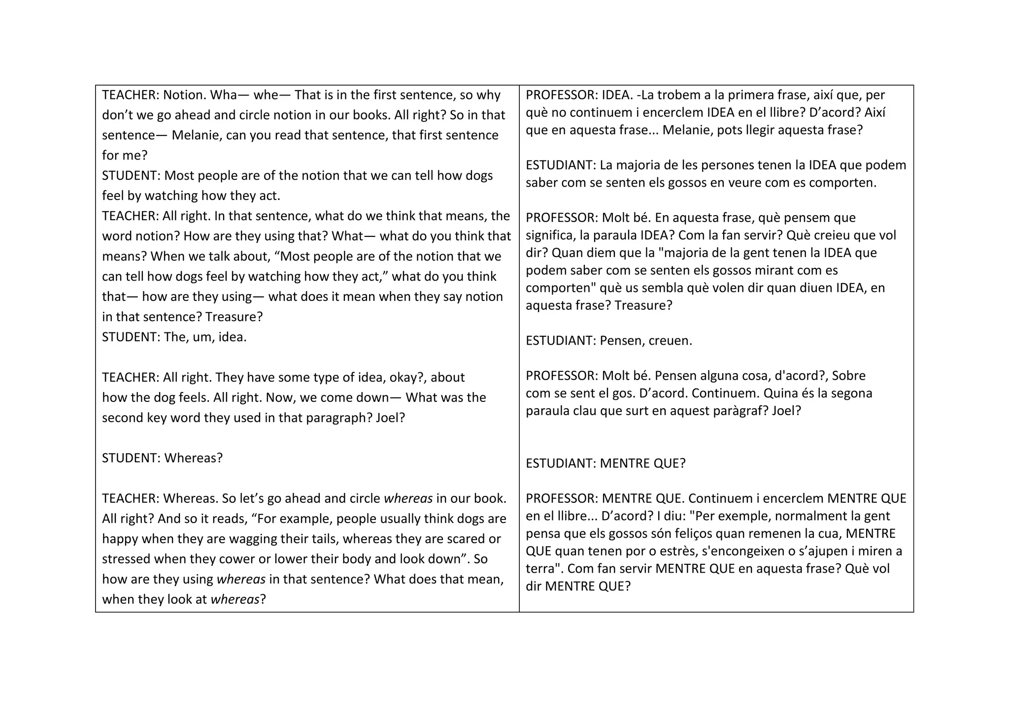 TEACHER: Notion. Wha— whe— That is in the first sentence, so why
don’t we go ahead and circle notion in our books. All right? So in that
sentence— Melanie, can you read that sentence, that first sentence
for me?
STUDENT: Most people are of the notion that we can tell how dogs
feel by watching how they act.
TEACHER: All right. In that sentence, what do we think that means, the
word notion? How are they using that? What— what do you think that
means? When we talk about, “Most people are of the notion that we
can tell how dogs feel by watching how they act,” what do you think
that— how are they using— what does it mean when they say notion
in that sentence? Treasure?
STUDENT: The, um, idea.
TEACHER: All right. They have some type of idea, okay?, about
how the dog feels. All right. Now, we come down— What was the
second key word they used in that paragraph? Joel?
STUDENT: Whereas?
TEACHER: Whereas. So let’s go ahead and circle whereas in our book.
All right? And so it reads, “For example, people usually think dogs are
happy when they are wagging their tails, whereas they are scared or
stressed when they cower or lower their body and look down”. So
how are they using whereas in that sentence? What does that mean,
when they look at whereas?
PROFESSOR: IDEA. -La trobem a la primera frase, així que, per
què no continuem i encerclem IDEA en el llibre? D’acord? Així
que en aquesta frase... Melanie, pots llegir aquesta frase?
ESTUDIANT: La majoria de les persones tenen la IDEA que podem
saber com se senten els gossos en veure com es comporten.
PROFESSOR: Molt bé. En aquesta frase, què pensem que
significa, la paraula IDEA? Com la fan servir? Què creieu que vol
dir? Quan diem que la "majoria de la gent tenen la IDEA que
podem saber com se senten els gossos mirant com es
comporten" què us sembla què volen dir quan diuen IDEA, en
aquesta frase? Treasure?
ESTUDIANT: Pensen, creuen.
PROFESSOR: Molt bé. Pensen alguna cosa, d'acord?, Sobre
com se sent el gos. D’acord. Continuem. Quina és la segona
paraula clau que surt en aquest paràgraf? Joel?
ESTUDIANT: MENTRE QUE?
PROFESSOR: MENTRE QUE. Continuem i encerclem MENTRE QUE
en el llibre... D’acord? I diu: "Per exemple, normalment la gent
pensa que els gossos són feliços quan remenen la cua, MENTRE
QUE quan tenen por o estrès, s'encongeixen o s’ajupen i miren a
terra". Com fan servir MENTRE QUE en aquesta frase? Què vol
dir MENTRE QUE?
 