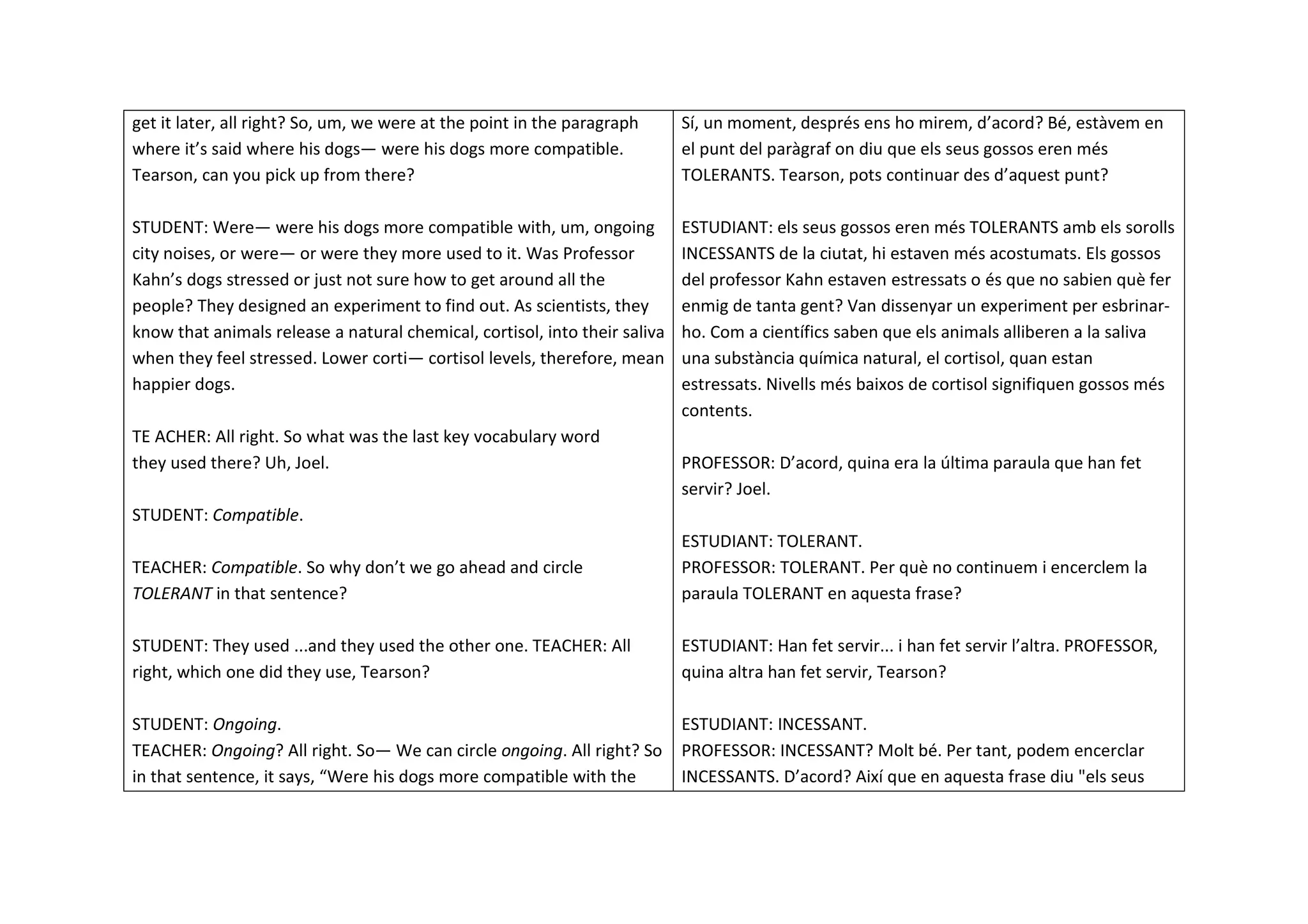 get it later, all right? So, um, we were at the point in the paragraph
where it’s said where his dogs— were his dogs more compatible.
Tearson, can you pick up from there?
STUDENT: Were— were his dogs more compatible with, um, ongoing
city noises, or were— or were they more used to it. Was Professor
Kahn’s dogs stressed or just not sure how to get around all the
people? They designed an experiment to find out. As scientists, they
know that animals release a natural chemical, cortisol, into their saliva
when they feel stressed. Lower corti— cortisol levels, therefore, mean
happier dogs.
TE ACHER: All right. So what was the last key vocabulary word
they used there? Uh, Joel.
STUDENT: Compatible.
TEACHER: Compatible. So why don’t we go ahead and circle
TOLERANT in that sentence?
STUDENT: They used ...and they used the other one. TEACHER: All
right, which one did they use, Tearson?
STUDENT: Ongoing.
TEACHER: Ongoing? All right. So— We can circle ongoing. All right? So
in that sentence, it says, “Were his dogs more compatible with the
Sí, un moment, després ens ho mirem, d’acord? Bé, estàvem en
el punt del paràgraf on diu que els seus gossos eren més
TOLERANTS. Tearson, pots continuar des d’aquest punt?
ESTUDIANT: els seus gossos eren més TOLERANTS amb els sorolls
INCESSANTS de la ciutat, hi estaven més acostumats. Els gossos
del professor Kahn estaven estressats o és que no sabien què fer
enmig de tanta gent? Van dissenyar un experiment per esbrinar-
ho. Com a científics saben que els animals alliberen a la saliva
una substància química natural, el cortisol, quan estan
estressats. Nivells més baixos de cortisol signifiquen gossos més
contents.
PROFESSOR: D’acord, quina era la última paraula que han fet
servir? Joel.
ESTUDIANT: TOLERANT.
PROFESSOR: TOLERANT. Per què no continuem i encerclem la
paraula TOLERANT en aquesta frase?
ESTUDIANT: Han fet servir... i han fet servir l’altra. PROFESSOR,
quina altra han fet servir, Tearson?
ESTUDIANT: INCESSANT.
PROFESSOR: INCESSANT? Molt bé. Per tant, podem encerclar
INCESSANTS. D’acord? Així que en aquesta frase diu "els seus
 