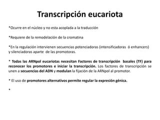 Transcripción eucariota
*Ocurre en el núcleo y no esta acoplada a la traducción

*Requiere de la remodelación de la cromatina

*En la regulación intervienen secuencias potenciadoras (intensificadoras ó enhancers)
y silenciadoras aparte de las promotoras.

* Todas las ARNpol eucariotas necesitan Factores de transcripción basales (TF) para
reconocer los promotores e iniciar la transcripción. Los factores de transcripción se
unen a secuencias del ADN y modulan la fijación de la ARNpol al promotor.

* El uso de promotores alternativos permite regular la expresión génica.

*
 