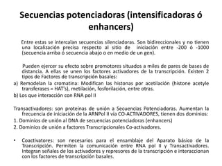 Secuencias potenciadoras (intensificadoras ó
                    enhancers)
    Entre estas se intercalan secuencias silenciadoras. Son bidireccionales y no tienen
    una localización precisa respecto al sitio de iniciación entre -200 ó -1000
    (secuencia arriba ó secuencia abajo o en medio de un gen).

    Pueden ejercer su efecto sobre promotores situados a miles de pares de bases de
    distancia. A ellas se unen los factores activadores de la transcripción. Existen 2
    tipos de Factores de transcripción basales:
a) Remodelan la cromatina: Modifican las histonas por acetilación (histone acetyle
    transferases = HAT’s), metilación, fosforilación, entre otras.
b) Los que interacción con RNA pol II

Transactivadores: son proteínas de unión a Secuencias Potenciadoras. Aumentan la
    frecuencia de iniciación de la ARNPol II vía CO-ACTIVADORES, tienen dos dominios:
1. Dominios de unión al DNA de secuencias potenciadoras (enhancers)
2. Dominios de unión a factores Transcripcionales Co-activadores.

•   Coactivatores: son necesarios para el ensamblaje del Aparato básico de la
    Transcripción. Permiten la comunicación entre RNA pol II y Transactivadores.
    Integran señales de los activadores y represores de la transcripción e interaccionan
    con los factores de transcripción basales.
 