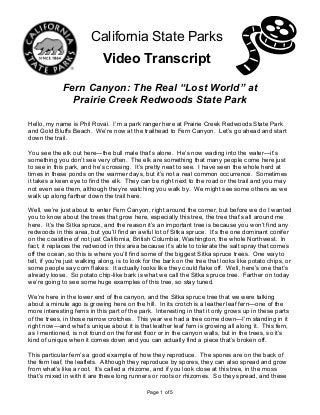 Page 1 of 5
California State Parks
Video Transcript
Fern Canyon: The Real “Lost World” at
Prairie Creek Redwoods State Park
Hello, my name is Phil Rovai. I’m a park ranger here at Prairie Creek Redwoods State Park
and Gold Bluffs Beach. We’re now at the trailhead to Fern Canyon. Let’s go ahead and start
down the trail.
You see the elk out here—the bull male that’s alone. He’s now wading into the water—it’s
something you don’t see very often. The elk are something that many people come here just
to see in this park, and he’s crossing. It’s pretty neat to see. I have seen the whole herd at
times in these ponds on the warmer days, but it’s not a real common occurrence. Sometimes
it takes a keen eye to find the elk. They can be right next to the road or the trail and you may
not even see them, although they’re watching you walk by. We might see some others as we
walk up along farther down the trail here.
Well, we’re just about to enter Fern Canyon, right around the corner, but before we do I wanted
you to know about the trees that grow here, especially this tree, the tree that’s all around me
here. It’s the Sitka spruce, and the reason it’s an important tree is because you won’t find any
redwoods in this area, but you’ll find an awful lot of Sitka spruce. It’s the one dominant conifer
on the coastline of not just California, British Columbia, Washington, the whole Northwest. In
fact, it replaces the redwood in this area because it’s able to tolerate the salt spray that comes
off the ocean, so this is where you’ll find some of the biggest Sitka spruce trees. One way to
tell, if you’re just walking along, is to look for the bark on the tree that looks like potato chips, or
some people say corn flakes. It actually looks like they could flake off. Well, here’s one that’s
already loose. So potato chip-like bark is what we call the Sitka spruce tree. Farther on today
we’re going to see some huge examples of this tree, so stay tuned.
We’re here in the lower end of the canyon, and the Sitka spruce tree that we were talking
about a minute ago is growing here on the hill. In its crotch is a leather leaf fern—one of the
more interesting ferns in this part of the park. Interesting in that it only grows up in these parts
of the trees, in those narrow crotches. This year we had a tree come down—I’m standing in it
right now—and what’s unique about it is that leather leaf fern is growing all along it. This fern,
as I mentioned, is not found on the forest floor or in the canyon walls, but in the trees, so it’s
kind of unique when it comes down and you can actually find a piece that’s broken off.
This particular fern’s a good example of how they reproduce. The spores are on the back of
the fern leaf, the leaflets. Although they reproduce by spores, they can also spread and grow
from what’s like a root. It’s called a rhizome, and if you look close at this tree, in the moss
that’s mixed in with it are these long runners or roots or rhizomes. So they spread, and these
 