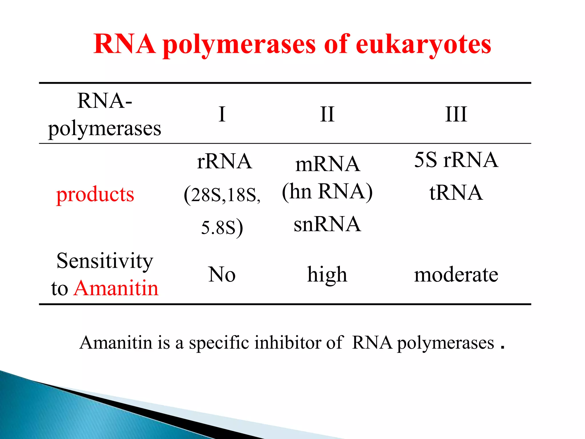 RNA polymerases of eukaryotes
   RNA-
                    I           II              III
polymerases
                 rRNA         mRNA          5S rRNA
products       (28S,18S,    (hn RNA)         tRNA
                 5.8S)       snRNA
 Sensitivity
                   No          high         moderate
to Amanitin

   Amanitin is a specific inhibitor of RNA polymerases .
 