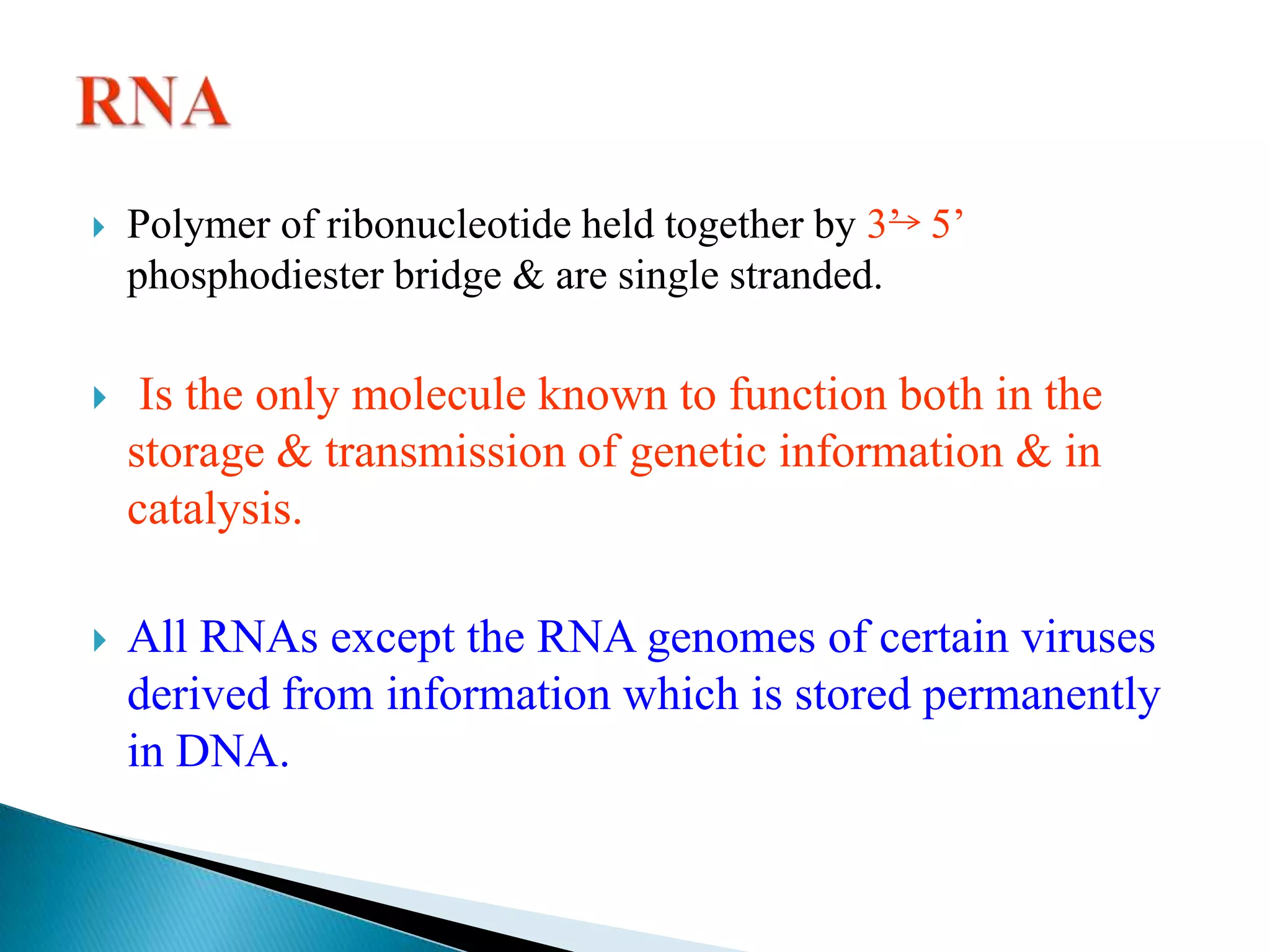    Polymer of ribonucleotide held together by 3’ 5’
    phosphodiester bridge & are single stranded.

    Is the only molecule known to function both in the
    storage & transmission of genetic information & in
    catalysis.

   All RNAs except the RNA genomes of certain viruses
    derived from information which is stored permanently
    in DNA.
 