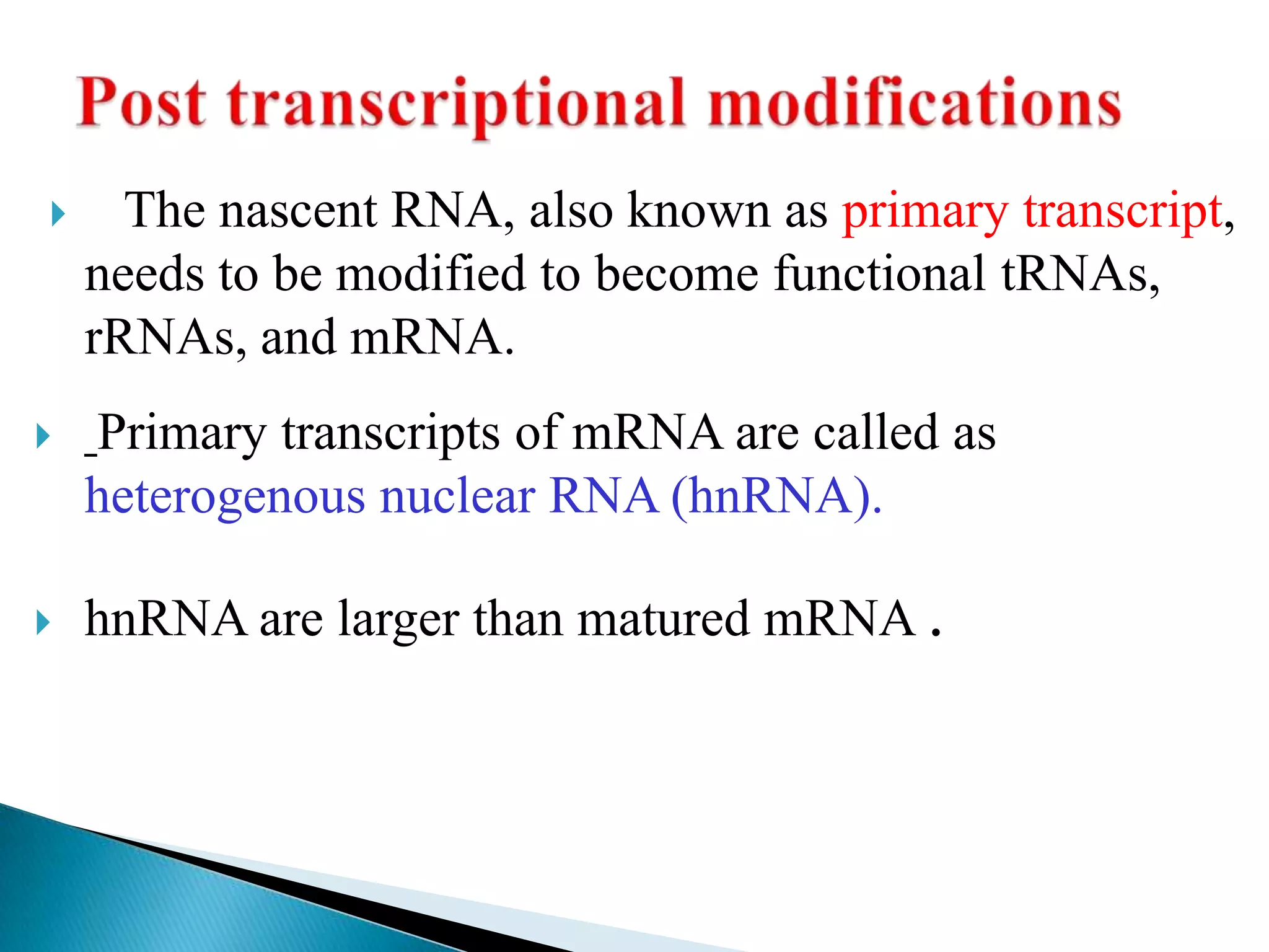      The nascent RNA, also known as primary transcript,
    needs to be modified to become functional tRNAs,
    rRNAs, and mRNA.
   Primary transcripts of mRNA are called as
    heterogenous nuclear RNA (hnRNA).

   hnRNA are larger than matured mRNA .
 