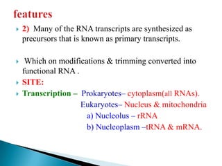 Transcription | PPT