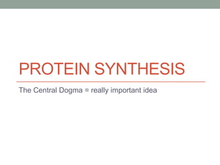 PROTEIN SYNTHESIS
The Central Dogma = really important idea
 
