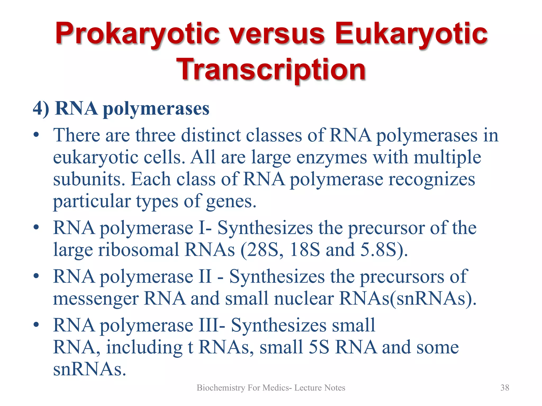 DNA Transcription- Part-1 | PPT