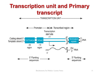 Transcription unit and Primary
transcript

Biochemistry For Medics- Lecture Notes

11

 