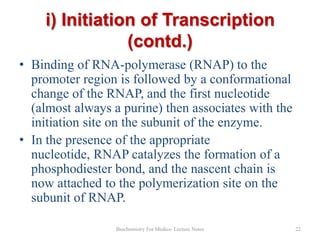 i) Initiation of Transcription
(contd.)
• Binding of RNA-polymerase (RNAP) to the
promoter region is followed by a conformational
change of the RNAP, and the first nucleotide
(almost always a purine) then associates with the
initiation site on the subunit of the enzyme.
• In the presence of the appropriate
nucleotide, RNAP catalyzes the formation of a
phosphodiester bond, and the nascent chain is
now attached to the polymerization site on the
subunit of RNAP.
Biochemistry For Medics- Lecture Notes

22

 