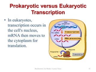 Prokaryotic versus Eukaryotic
Transcription
• In eukaryotes,
transcription occurs in
the cell's nucleus,
mRNA then moves to
the cytoplasm for
translation.

Biochemistry For Medics- Lecture Notes

35

 