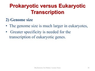 Prokaryotic versus Eukaryotic
Transcription
2) Genome size
• The genome size is much larger in eukaryotes,
• Greater specificity is needed for the
transcription of eukaryotic genes.

Biochemistry For Medics- Lecture Notes

36

 