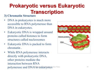 Prokaryotic versus Eukaryotic
Transcription

3) Chromatin Structure
• DNA in prokaryotes is much more
accessible to RNA polymerase than
DNA in eukaryotes.
• Eukaryotic DNA is wrapped around
proteins called histones to form
structures called nucleosomes
• Eukaryotic DNA is packed to form
chromatin .
• While RNA polymerase interacts
directly with prokaryotic DNA,
other proteins mediate the
interaction between RNA
Biochemistry For Medics- Lecture
polymerase and DNA in eukaryotes Notes

37

 