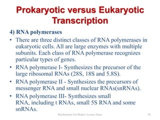 Prokaryotic versus Eukaryotic
Transcription
4) RNA polymerases
• There are three distinct classes of RNA polymerases in
eukaryotic cells. All are large enzymes with multiple
subunits. Each class of RNA polymerase recognizes
particular types of genes.
• RNA polymerase I- Synthesizes the precursor of the
large ribosomal RNAs (28S, 18S and 5.8S).
• RNA polymerase II - Synthesizes the precursors of
messenger RNA and small nuclear RNAs(snRNAs).
• RNA polymerase III- Synthesizes small
RNA, including t RNAs, small 5S RNA and some
snRNAs.
Biochemistry For Medics- Lecture Notes

38

 