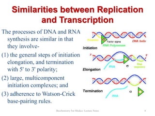 Similarities between Replication
and Transcription
The processes of DNA and RNA
synthesis are similar in that
they involve(1) the general steps of initiation,
elongation, and termination
with 5' to 3' polarity;
(2) large, multicomponent
initiation complexes; and
(3) adherence to Watson-Crick
base-pairing rules.
Biochemistry For Medics- Lecture Notes

4

 