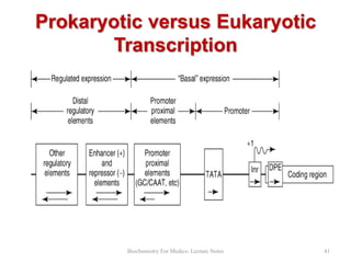 Prokaryotic versus Eukaryotic
Transcription

Biochemistry For Medics- Lecture Notes

41

 