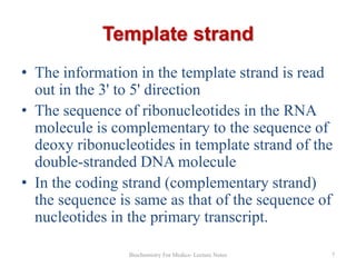 Template strand
• The information in the template strand is read
out in the 3' to 5' direction
• The sequence of ribonucleotides in the RNA
molecule is complementary to the sequence of
deoxy ribonucleotides in template strand of the
double-stranded DNA molecule
• In the coding strand (complementary strand)
the sequence is same as that of the sequence of
nucleotides in the primary transcript.
Biochemistry For Medics- Lecture Notes

7

 