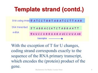 Template strand (contd.)

With the exception of T for U changes,
coding strand corresponds exactly to the
sequence of the RNA primary transcript,
which encodes the (protein) product of the
gene.
Biochemistry For Medics- Lecture Notes

8

 