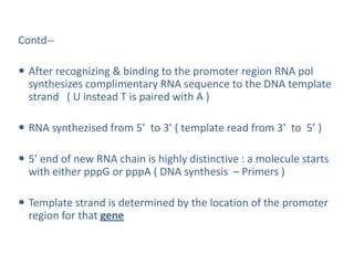 Contd--
 After recognizing & binding to the promoter region RNA pol
synthesizes complimentary RNA sequence to the DNA template
strand ( U instead T is paired with A )
 RNA synthezised from 5’ to 3’ ( template read from 3’ to 5’ )
 5’ end of new RNA chain is highly distinctive : a molecule starts
with either pppG or pppA ( DNA synthesis – Primers )
 Template strand is determined by the location of the promoter
region for that gene
 
