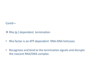 Contd—
 Rho (ρ ) dependent termination
• Rho factor is an ATP dependent RNA-DNA helicases
• Recognizes and bind to the termination signals and disrupts
the nascent RNA/DNA complex
 