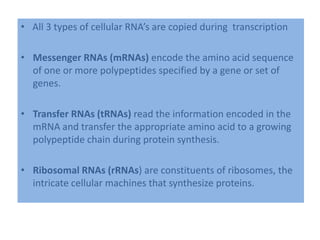 • All 3 types of cellular RNA’s are copied during transcription
• Messenger RNAs (mRNAs) encode the amino acid sequence
of one or more polypeptides specified by a gene or set of
genes.
• Transfer RNAs (tRNAs) read the information encoded in the
mRNA and transfer the appropriate amino acid to a growing
polypeptide chain during protein synthesis.
• Ribosomal RNAs (rRNAs) are constituents of ribosomes, the
intricate cellular machines that synthesize proteins.
 