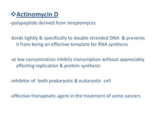Actinomycin D
-polypeptide derived from streptomyces
-binds tightly & specifically to double stranded DNA & prevents
it from being an effective template for RNA synthesis
-at low concentration inhibits transcription without appreciably
affecting replication & protein synthesis
-inhibitor of both prokaryotic & eukaryotic cell
-effective therapeutic agent in the treatment of some cancers
 