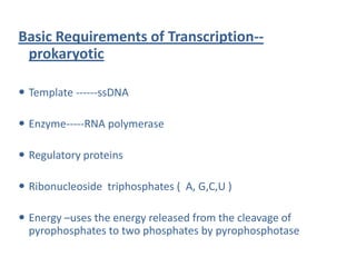 Basic Requirements of Transcription--
prokaryotic
 Template ------ssDNA
 Enzyme-----RNA polymerase
 Regulatory proteins
 Ribonucleoside triphosphates ( A, G,C,U )
 Energy –uses the energy released from the cleavage of
pyrophosphates to two phosphates by pyrophosphotase
 