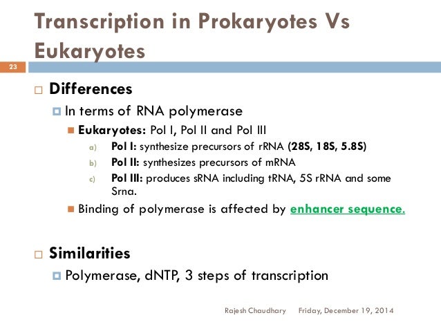 essay on translation and transcription Transcription and translation are how genetic information is transferred and used to create proteins can you describe these processes on the ap bio exam. essay on translation and transcription Transcription and translation are how genetic information is transferred and used to create proteins can you describe these processes on the ap bio exam.
