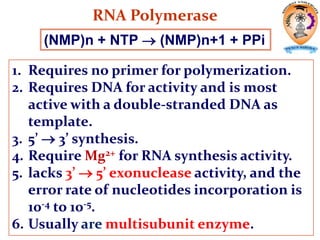 1. Requires no primer for polymerization.
2. Requires DNA for activity and is most
active with a double-stranded DNA as
template.
3. 5’  3’ synthesis.
4. Require Mg2+ for RNA synthesis activity.
5. lacks 3’  5’ exonuclease activity, and the
error rate of nucleotides incorporation is
10-4 to 10-5.
6. Usually are multisubunit enzyme.
RNA Polymerase
(NMP)n + NTP  (NMP)n+1 + PPi
 