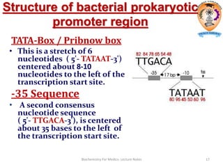 Structure of bacterial prokaryotic
promoter region
TATA-Box / Pribnow box
• This is a stretch of 6
nucleotides ( 5'- TATAAT-3')
centered about 8-10
nucleotides to the left of the
transcription start site.
-35 Sequence
• A second consensus
nucleotide sequence
( 5'- TTGACA-3'), is centered
about 35 bases to the left of
the transcription start site.
Biochemistry For Medics- Lecture Notes 17
 