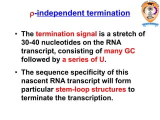 -independent termination
• The termination signal is a stretch of
30-40 nucleotides on the RNA
transcript, consisting of many GC
followed by a series of U.
• The sequence specificity of this
nascent RNA transcript will form
particular stem-loop structures to
terminate the transcription.
 