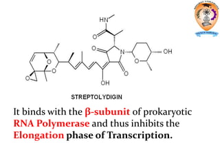 It binds with the β-subunit of prokaryotic
RNA Polymerase and thus inhibits the
Elongation phase of Transcription.
 