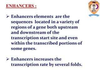 ENHANCERS :
 Enhancers elements are the
sequences located in a variety of
regions of a gene both upstream
and downstream of the
transcription start site and even
within the transcribed portions of
some genes.
 Enhancers increases the
transcription rate by several folds.
 