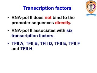 • RNA-pol II does not bind to the
promoter sequences directly.
• RNA-pol II associates with six
transcription factors.
• TFII A, TFII B, TFII D, TFII E, TFII F
and TFII H
Transcription factors
 