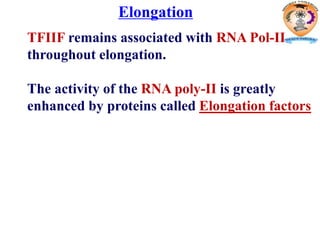 Elongation
TFIIF remains associated with RNA Pol-II
throughout elongation.
The activity of the RNA poly-II is greatly
enhanced by proteins called Elongation factors
 