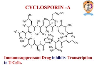 CYCLOSPORIN -A
Immunosuppressant Drug inhibits Transcription
in T-Cells.
 