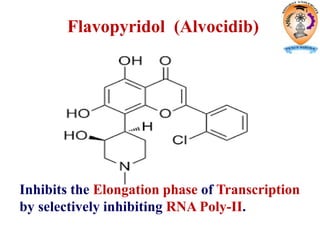 Flavopyridol (Alvocidib)
Inhibits the Elongation phase of Transcription
by selectively inhibiting RNA Poly-II.
 