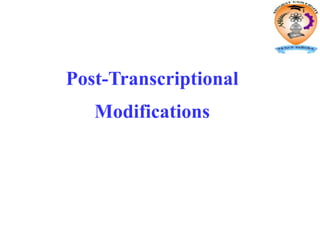 Post-Transcriptional
Modifications
 