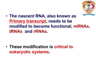 • The nascent RNA, also known as
Primary transcript, needs to be
modified to become functional, mRNAs,
tRNAs and rRNAs.
• These modification is critical to
eukaryotic systems.
 