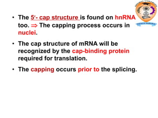 • The 5- cap structure is found on hnRNA
too.  The capping process occurs in
nuclei.
• The cap structure of mRNA will be
recognized by the cap-binding protein
required for translation.
• The capping occurs prior to the splicing.
 