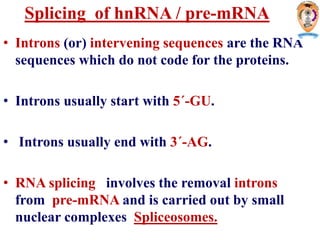 • Introns (or) intervening sequences are the RNA
sequences which do not code for the proteins.
• Introns usually start with 5´-GU.
• Introns usually end with 3´-AG.
• RNA splicing involves the removal introns
from pre-mRNA and is carried out by small
nuclear complexes Spliceosomes.
Splicing of hnRNA / pre-mRNA
 