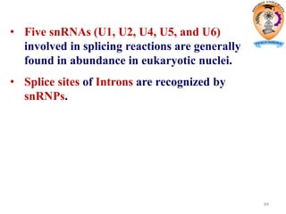 84
• Five snRNAs (U1, U2, U4, U5, and U6)
involved in splicing reactions are generally
found in abundance in eukaryotic nuclei.
• Splice sites of Introns are recognized by
snRNPs.
 