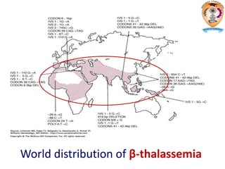 World distribution of β-thalassemia
 