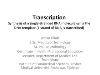 Transcription
Synthesis of a single-stranded RNA molecule using the
DNA template (1 strand of DNA is transcribed)
Aman Ullah
B.Sc. Med. Lab. Technology
M. Phil. Microbiology
Certificate in Health Professional Education
Lecturer, Department of Medical Lab.
Technology
Institute of Paramedical Sciences, Khyber
Medical University, Peshawar, Pakistan
 