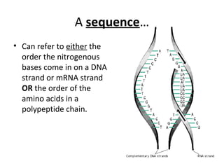 A sequence…
• Can refer to either the
order the nitrogenous
bases come in on a DNA
strand or mRNA strand
OR the order of the
amino acids in a
polypeptide chain.
 