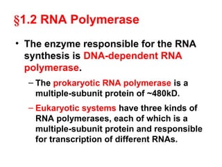 §1.2 RNA Polymerase
• The enzyme responsible for the RNA
synthesis is DNA-dependent RNA
polymerase.
– The prokaryotic RNA polymerase is a
multiple-subunit protein of ~480kD.
– Eukaryotic systems have three kinds of
RNA polymerases, each of which is a
multiple-subunit protein and responsible
for transcription of different RNAs.
 