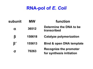 subunit MW function
α 36512
Determine the DNA to be
transcribed
β 150618 Catalyze polymerization
β′ 155613 Bind & open DNA template
σ 70263
Recognize the promoter
for synthesis initiation
RNA-pol of E. Coli
 