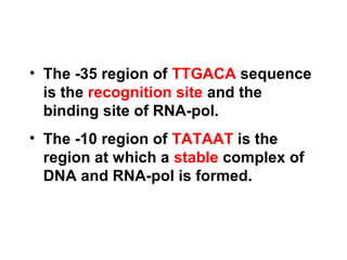 • The -35 region of TTGACA sequence
is the recognition site and the
binding site of RNA-pol.
• The -10 region of TATAAT is the
region at which a stable complex of
DNA and RNA-pol is formed.
 